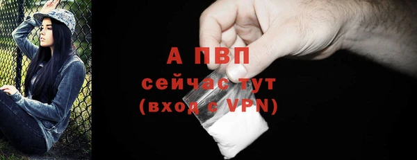 амф Майский