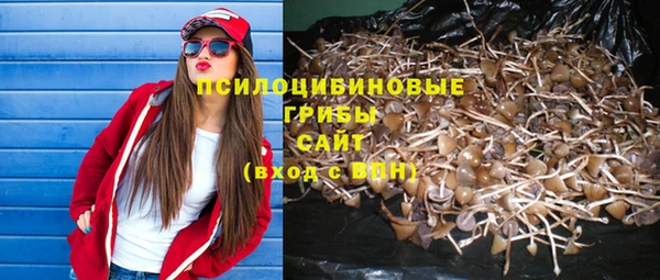 гашиш Магас