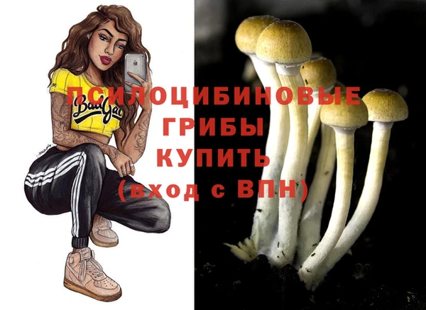 гашиш Магас