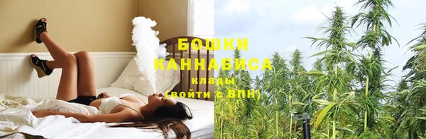 амф Майский